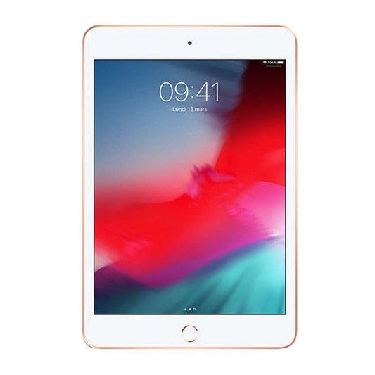 iPad Mini 5 bildskärmbyte