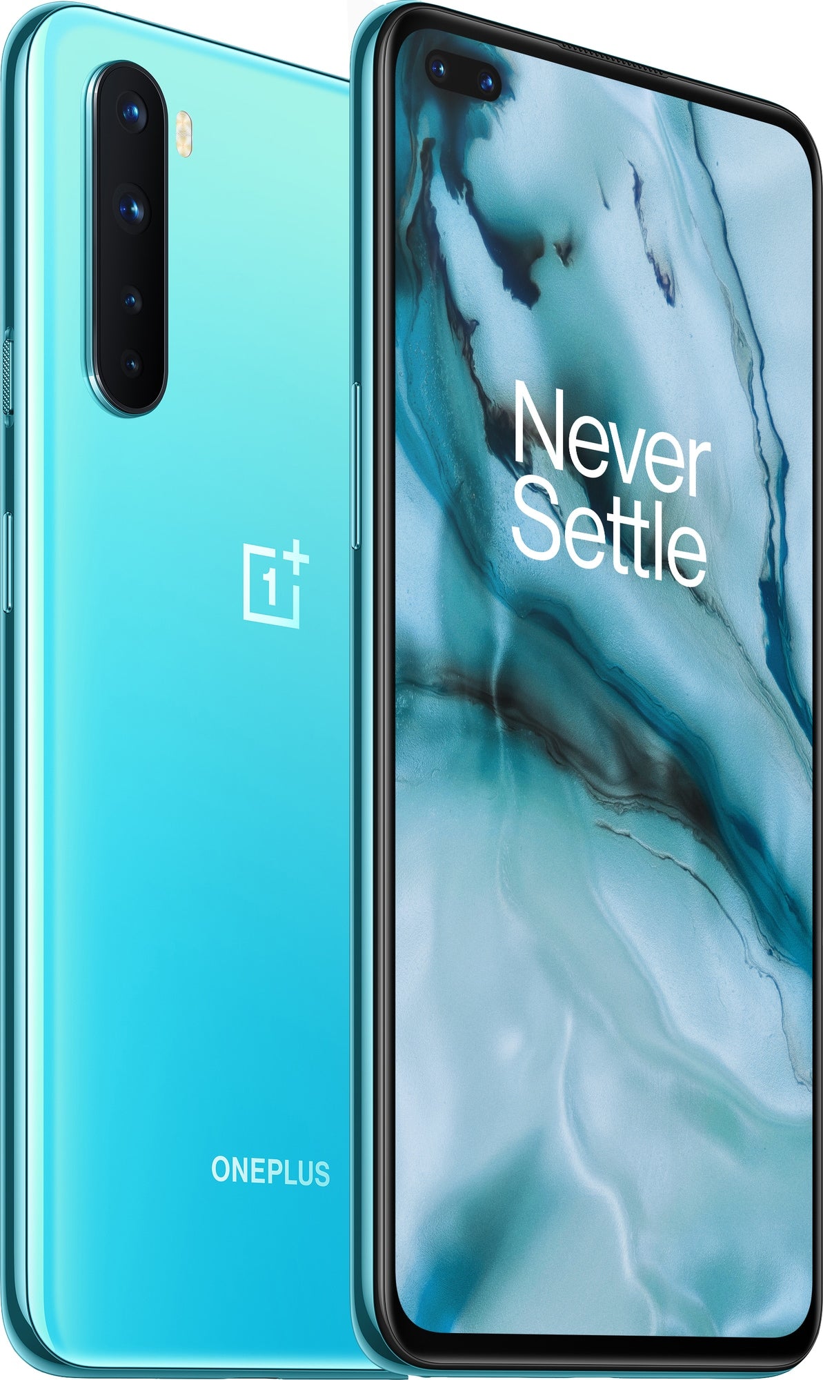 Batteribyte Oneplus OnePlus Nord
